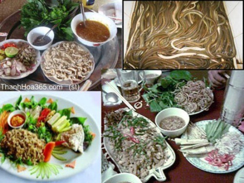 4. Gỏi cá Nhệch – Ninh Bình Huyện Kim Sơn (Ninh Bình) có món đặc sản là gỏi cá nhệch. Gỏi cá nhệch ăn rất ngon, thơm và bùi, có mùi vị rất đặc trưng, ăn một lần là nhớ mãi.